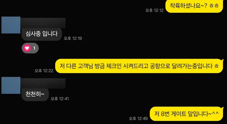 다낭 공항 픽업 실제 카톡 — 착륙 확인, 심사 중, 게이트 앞에서 기다리는 대화